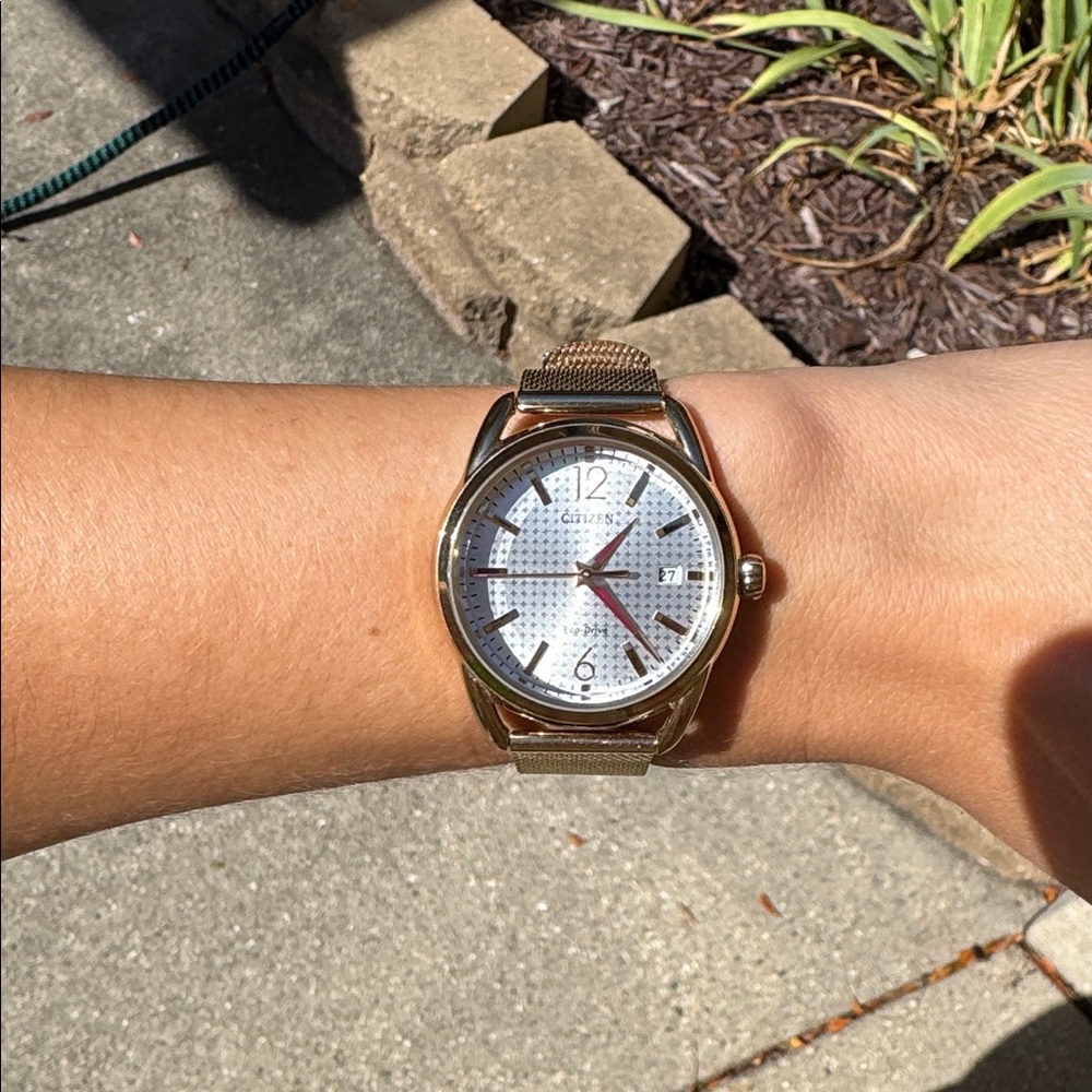 Citizen Eco Drive gold tone buckle watch
